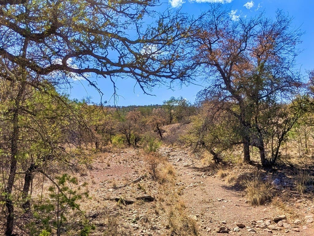 8 acres in Jeff Davis County - photo 20