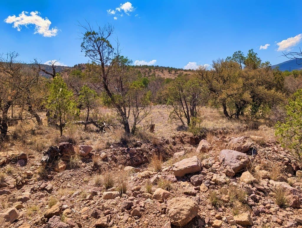 8 acres in Jeff Davis County - photo 21