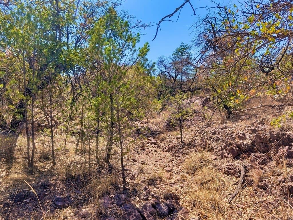 8 acres in Jeff Davis County - photo 7