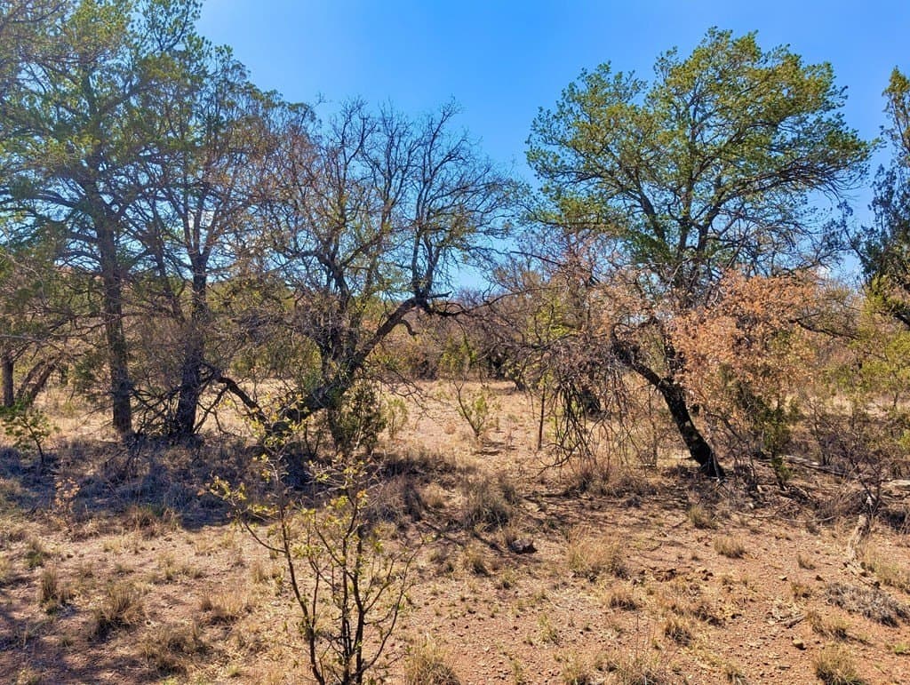 8 acres in Jeff Davis County - photo 3