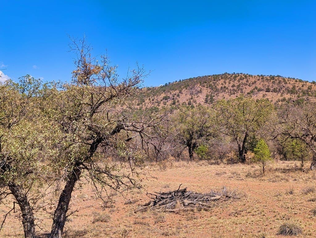 8 acres in Jeff Davis County - photo 5