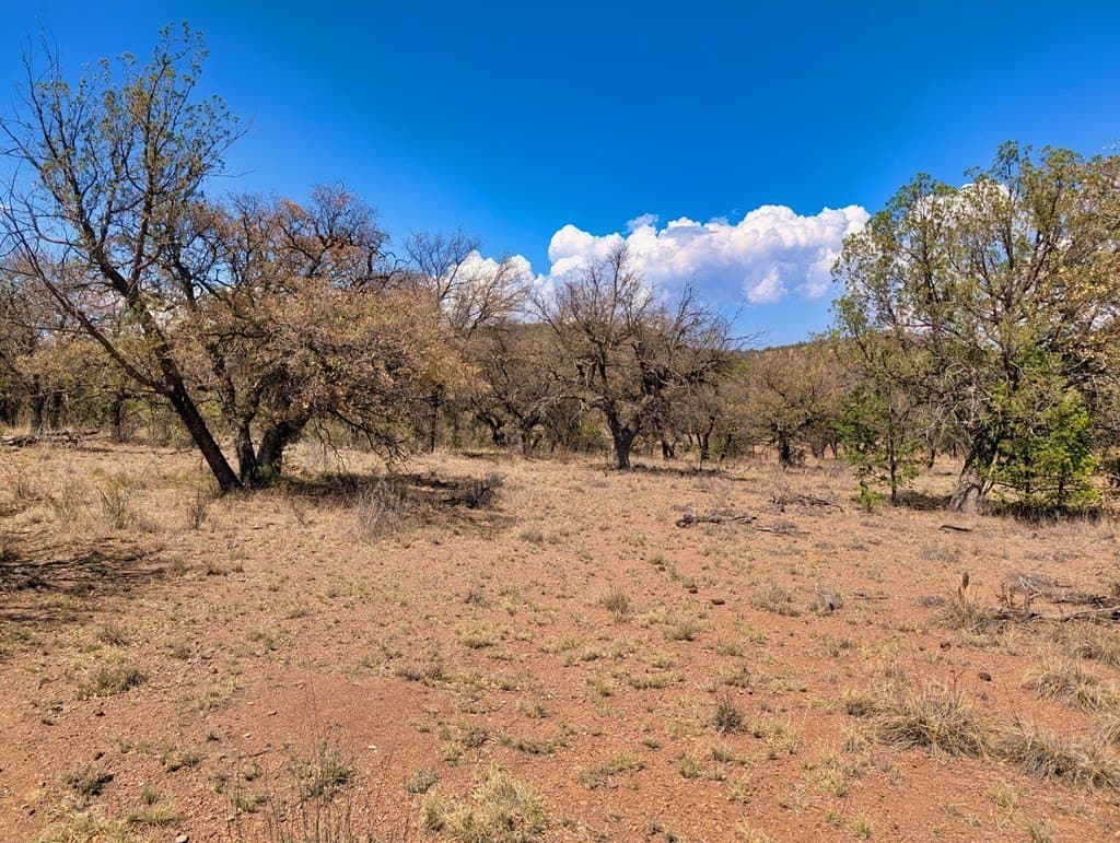 8 acres in Jeff Davis County - photo 4