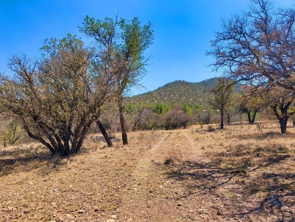 8 acres in Jeff Davis County - photo 14