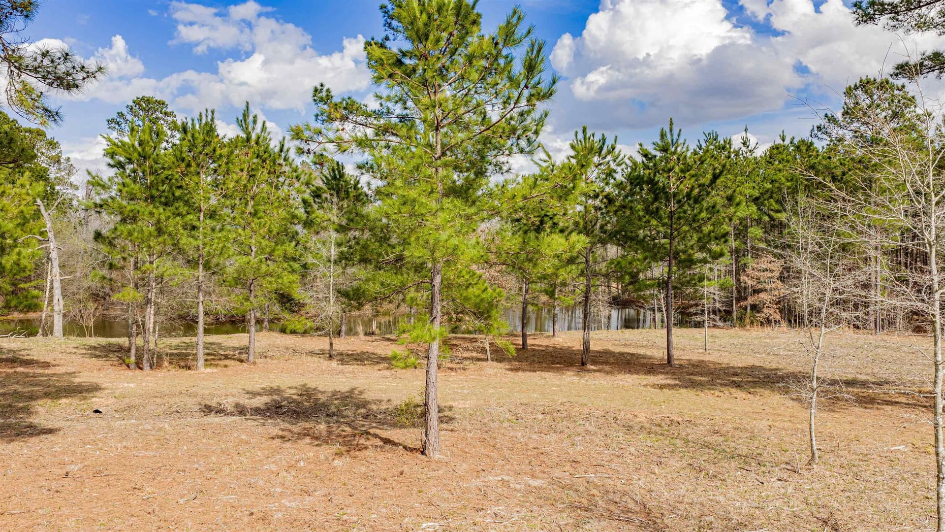 47.04 acres in Texas County - photo 14