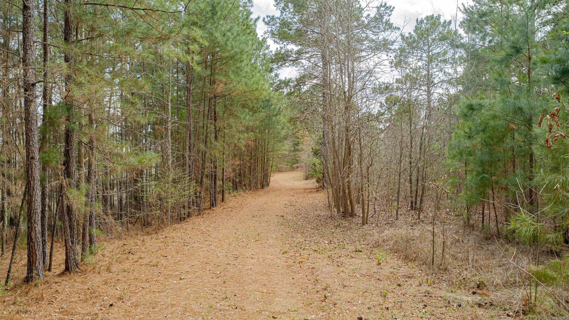 47.04 acres in Texas County - photo 6
