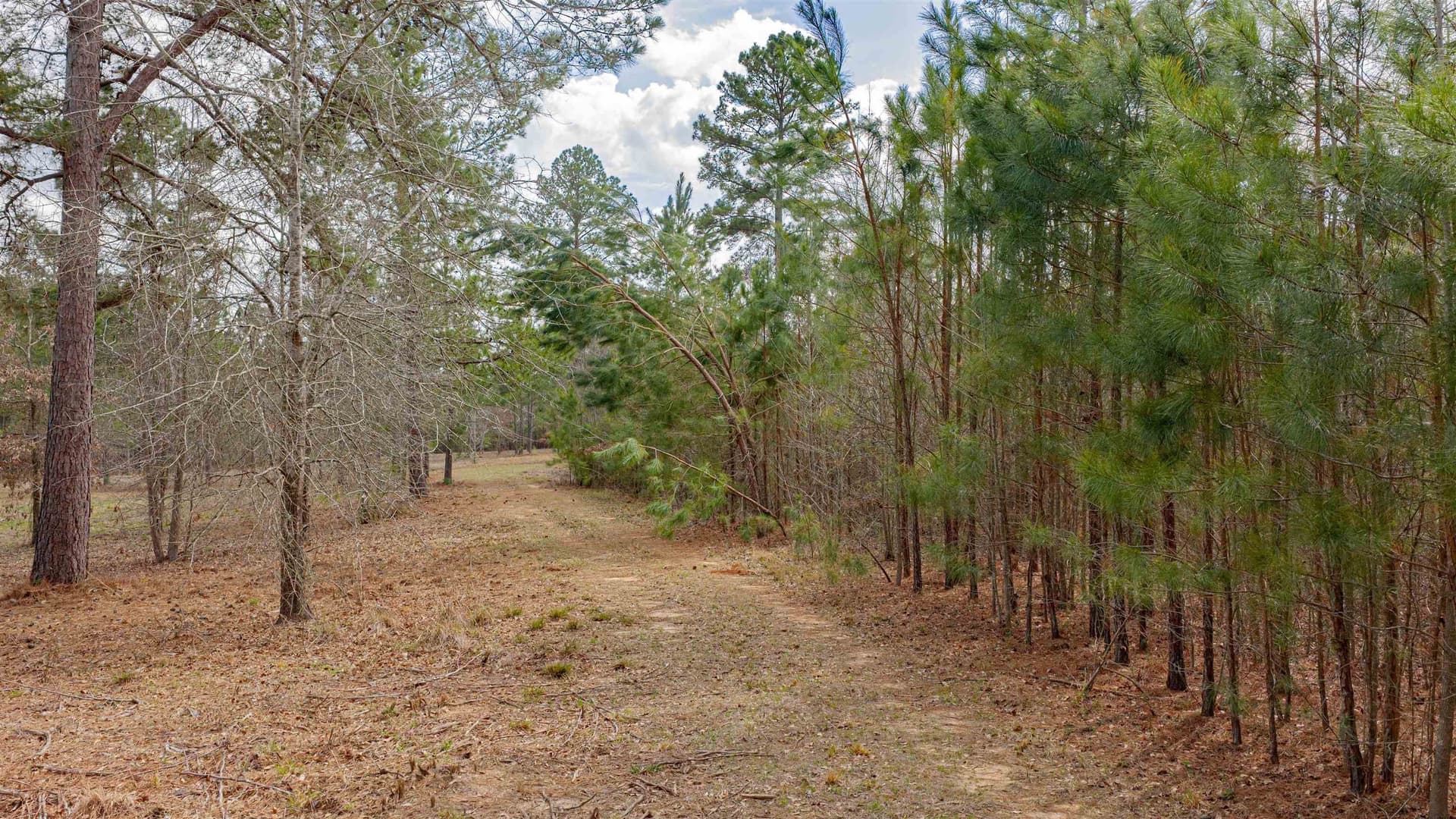47.04 acres in Texas County - photo 9