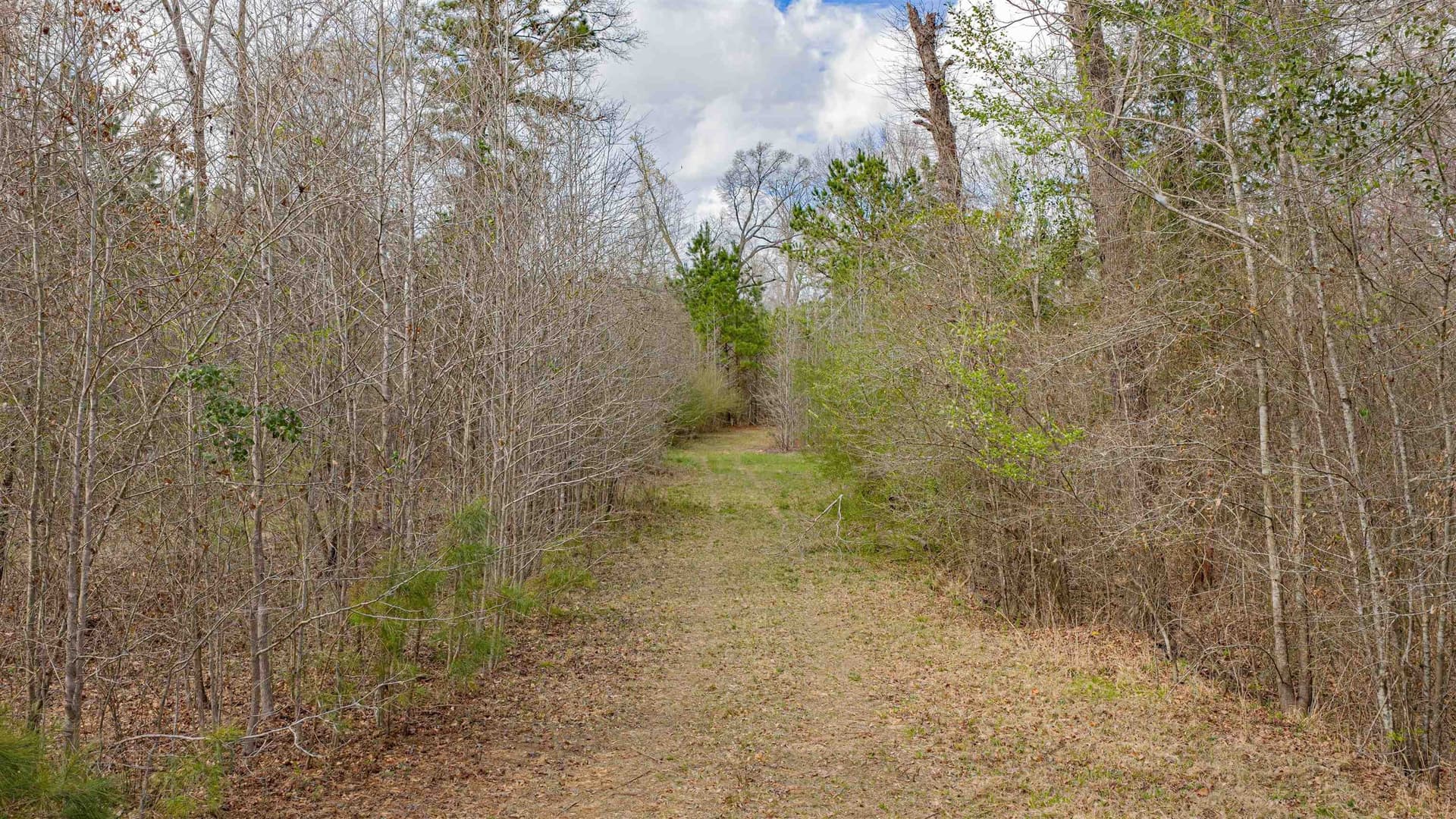 47.04 acres in Texas County - photo 5