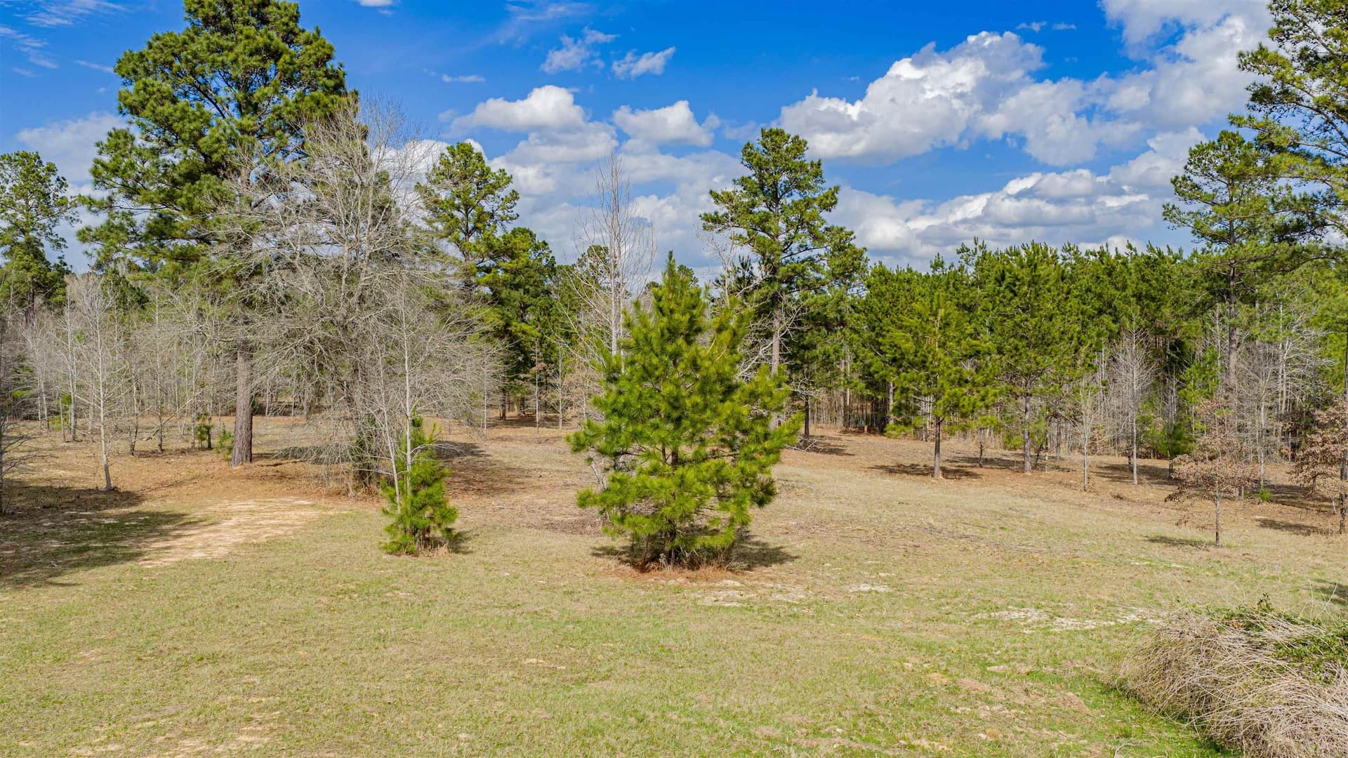 47.04 acres in Texas County - photo 28