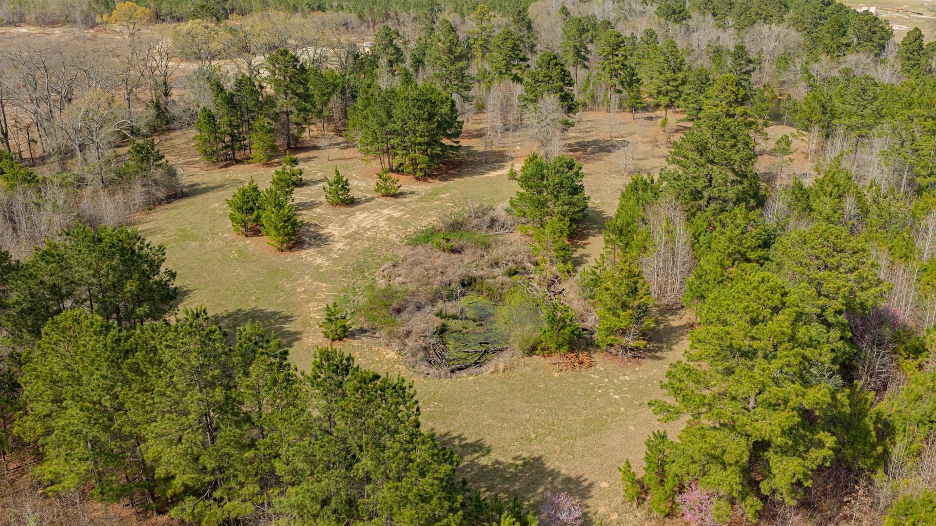 47.04 acres in Texas County - photo 25