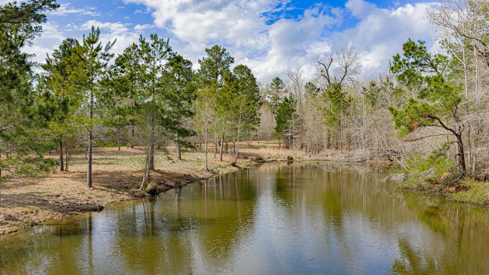 47.04 acres in Texas County - photo 18