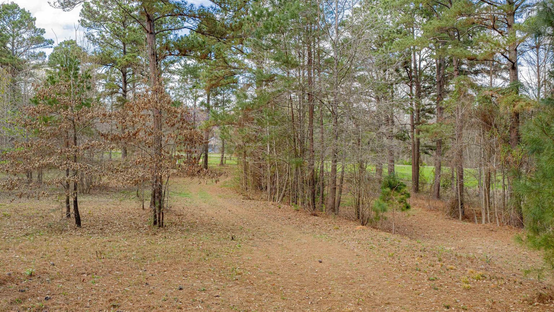 47.04 acres in Texas County - photo 2