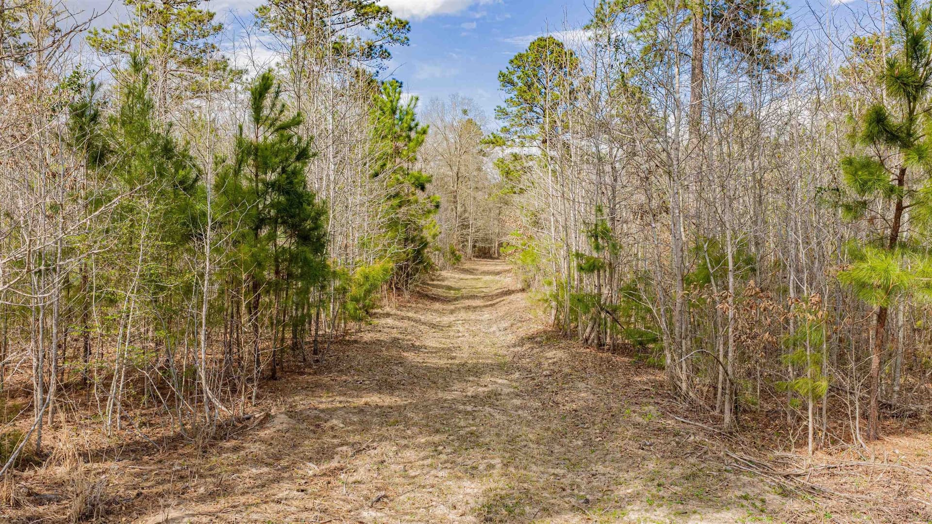 47.04 acres in Texas County - photo 30