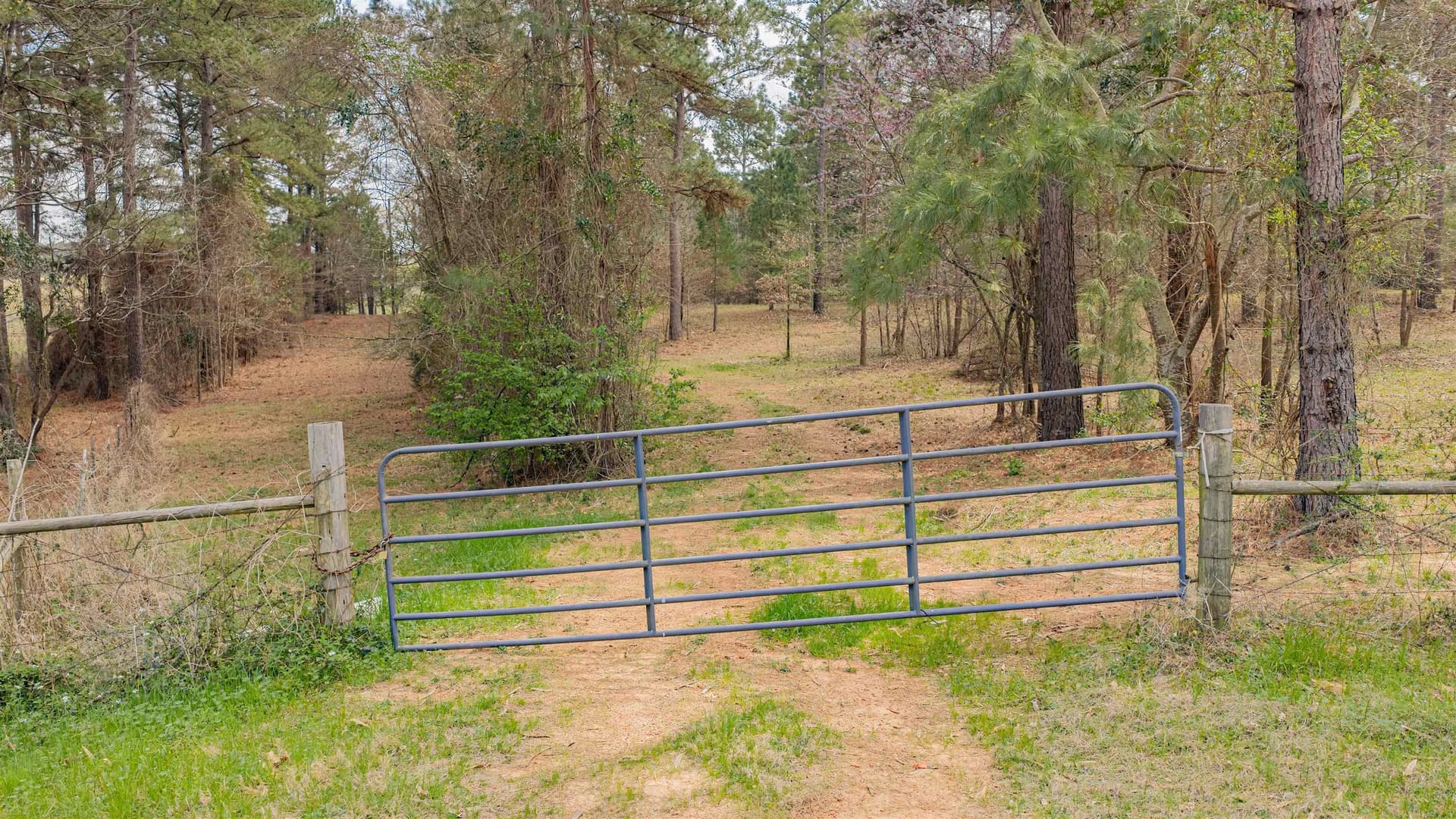 47.04 acres in Texas County - photo 10