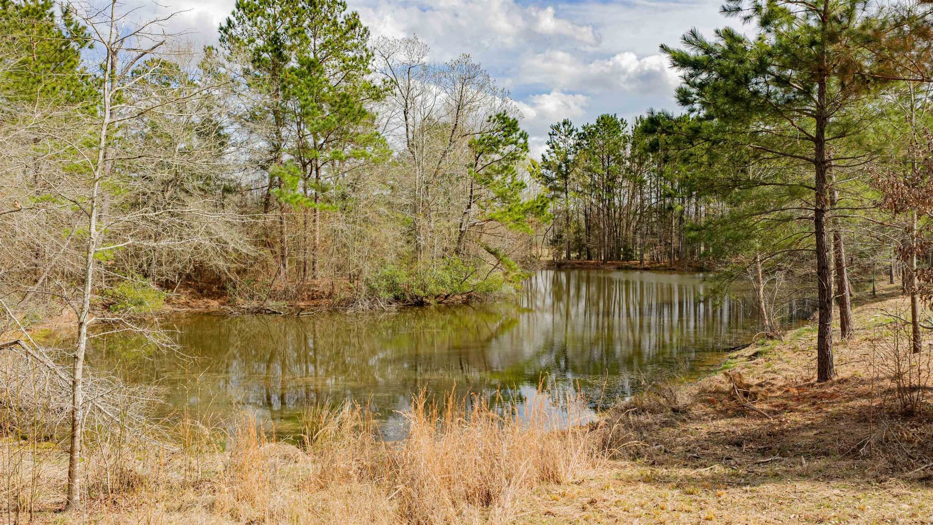 47.04 acres in Texas County - photo 11