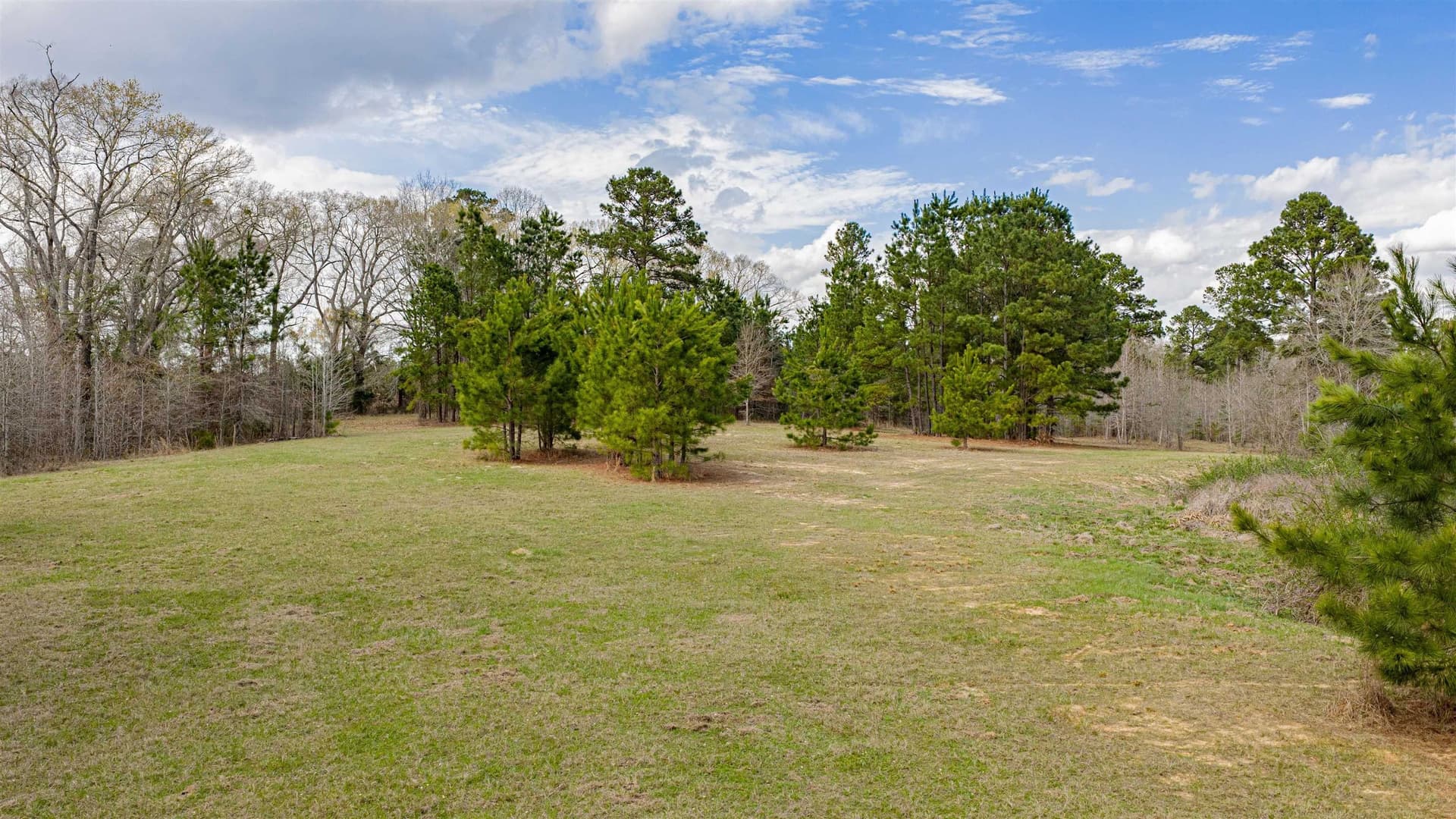 47.04 acres in Texas County - photo 13