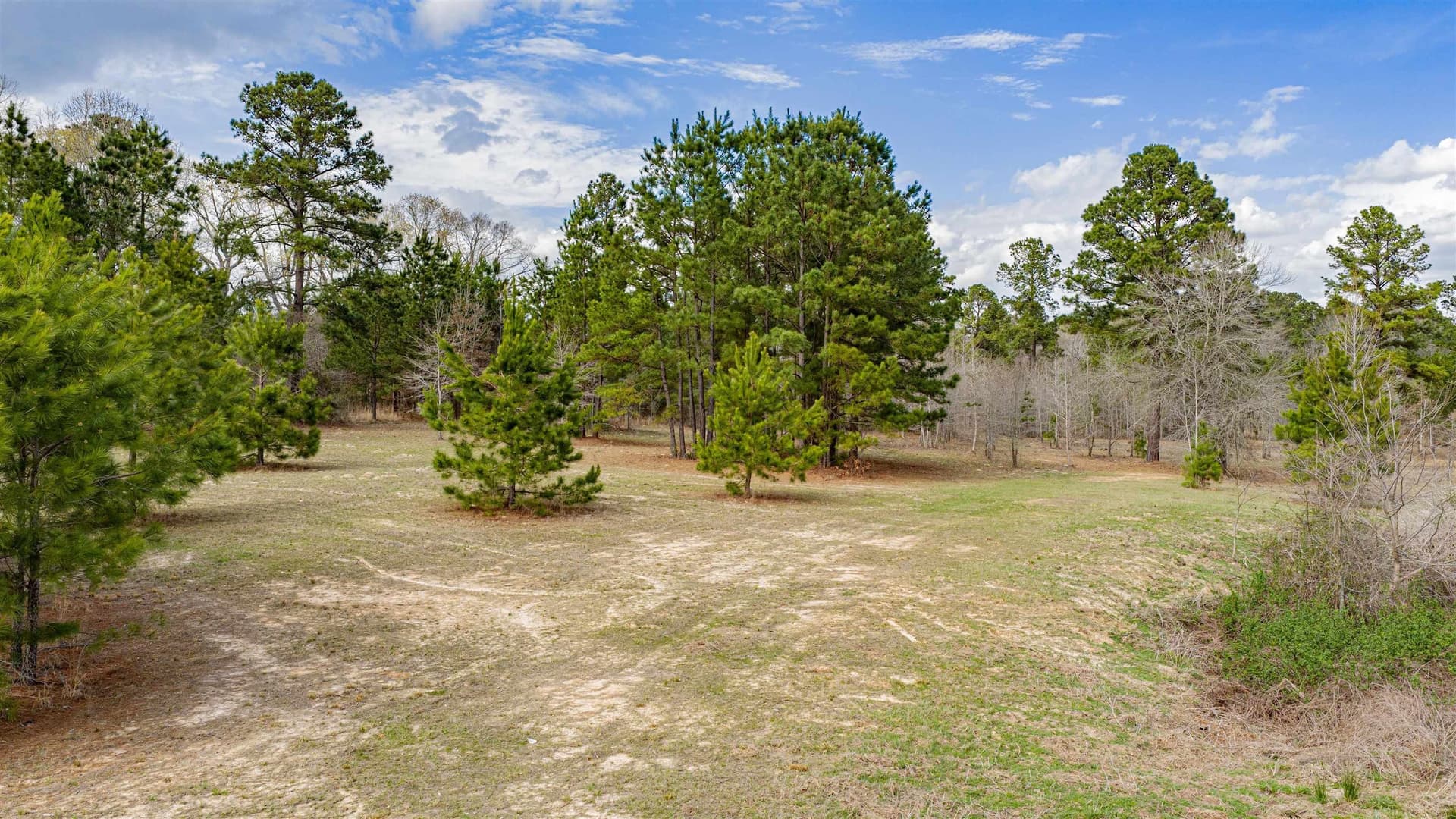47.04 acres in Texas County - photo 26