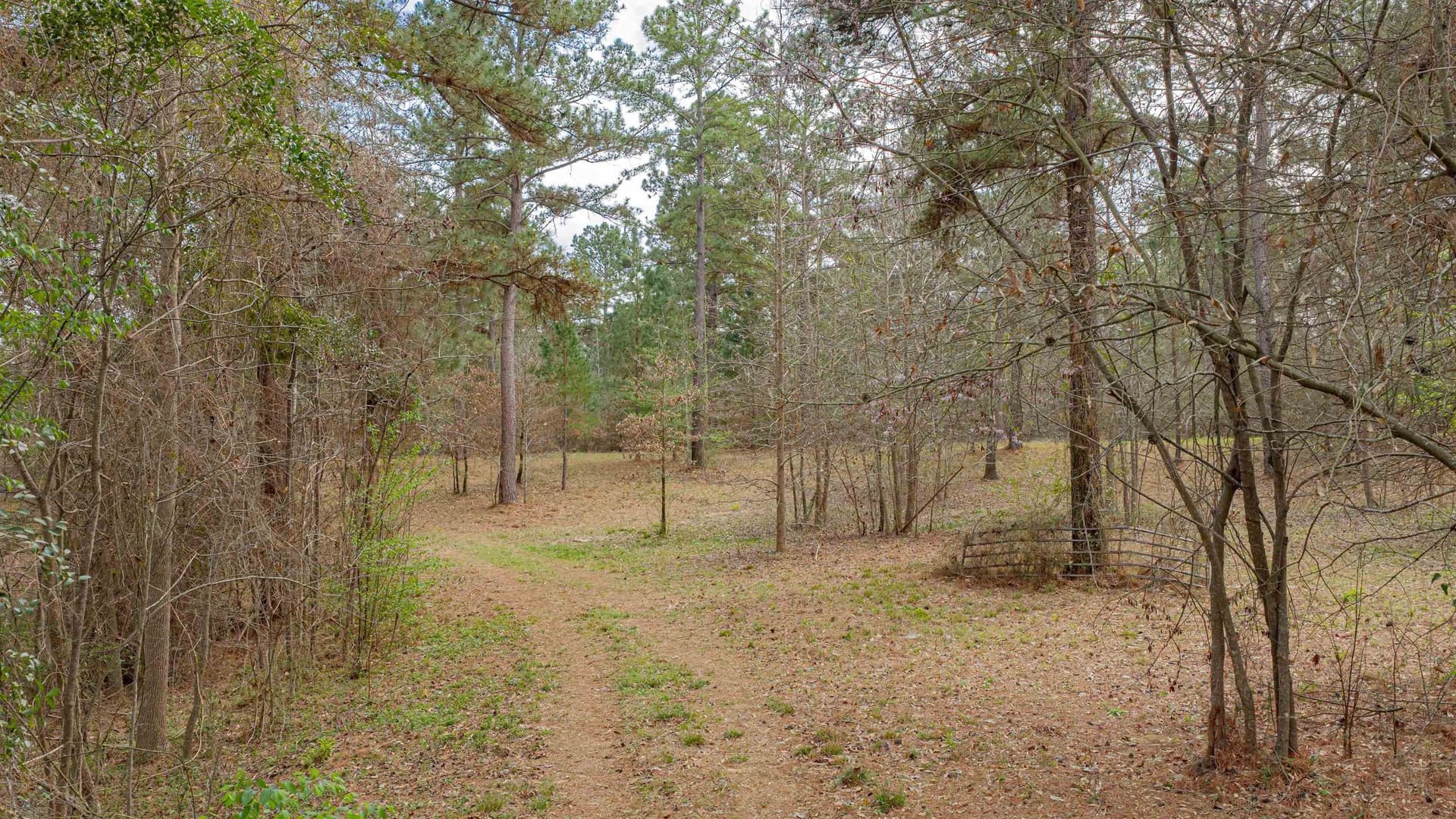 47.04 acres in Texas County - photo 8