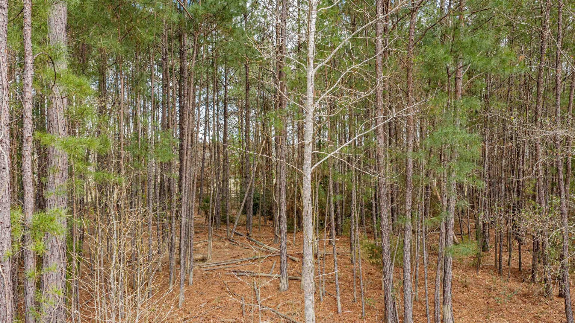 47.04 acres in Texas County - photo 31