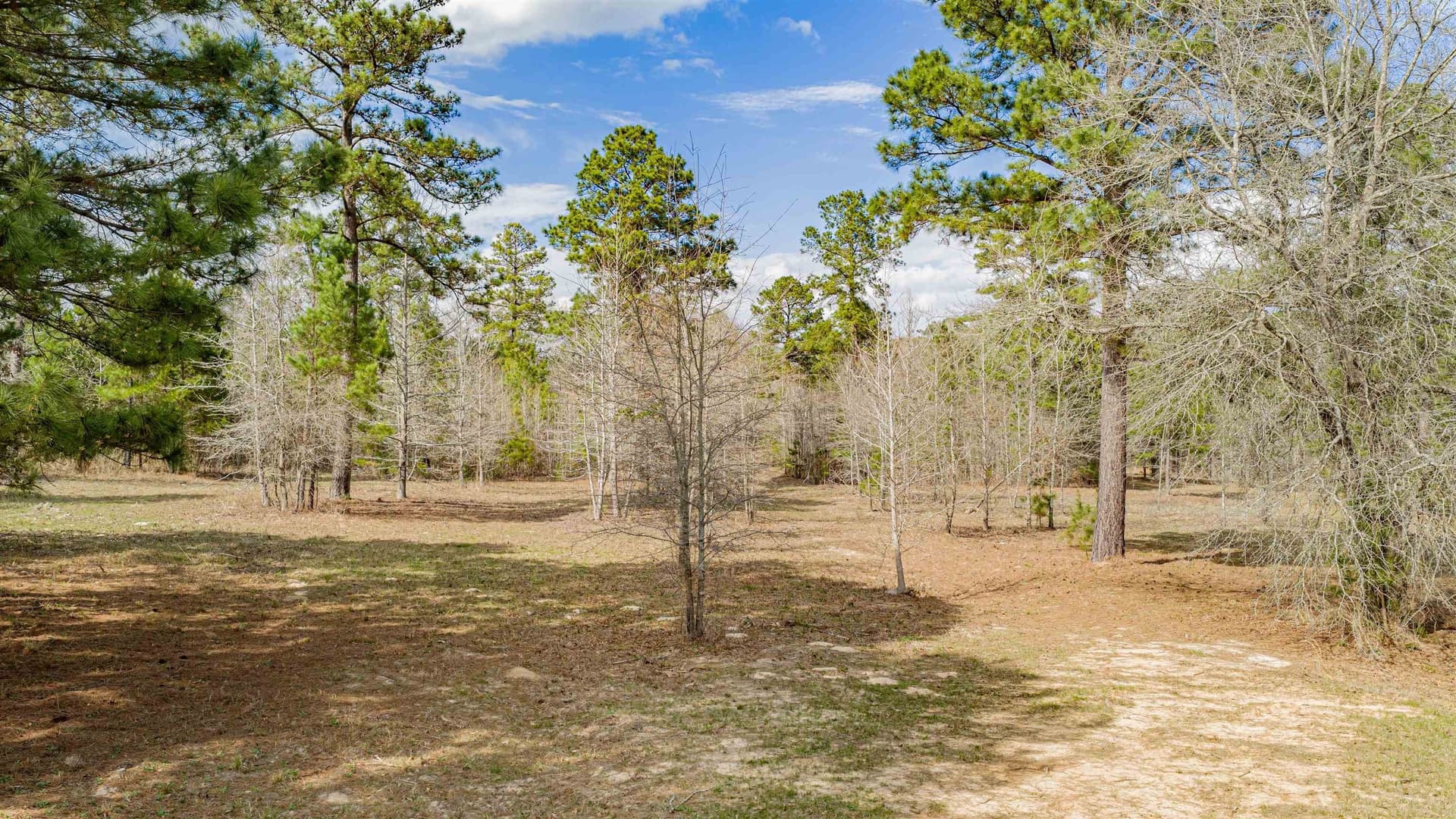 47.04 acres in Texas County - photo 29