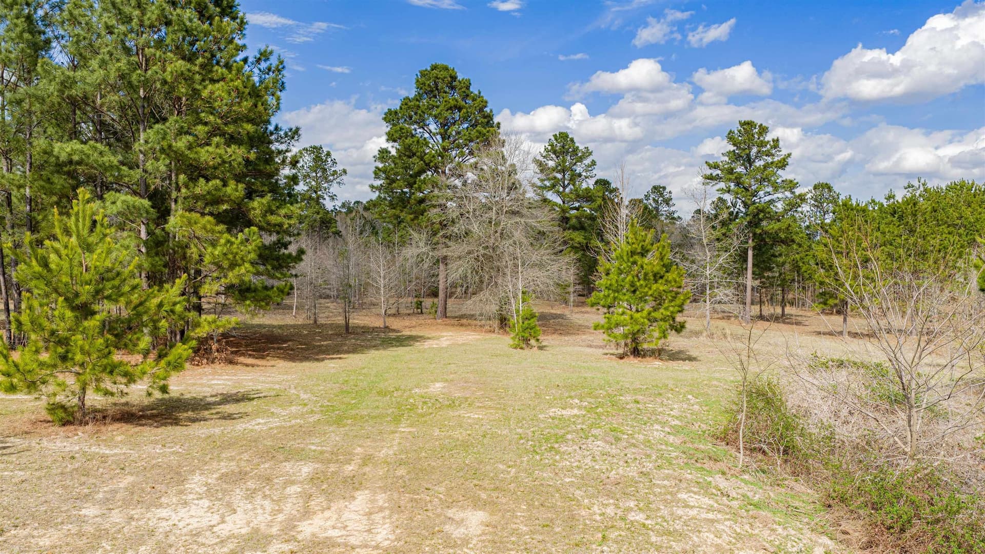 47.04 acres in Texas County - photo 27