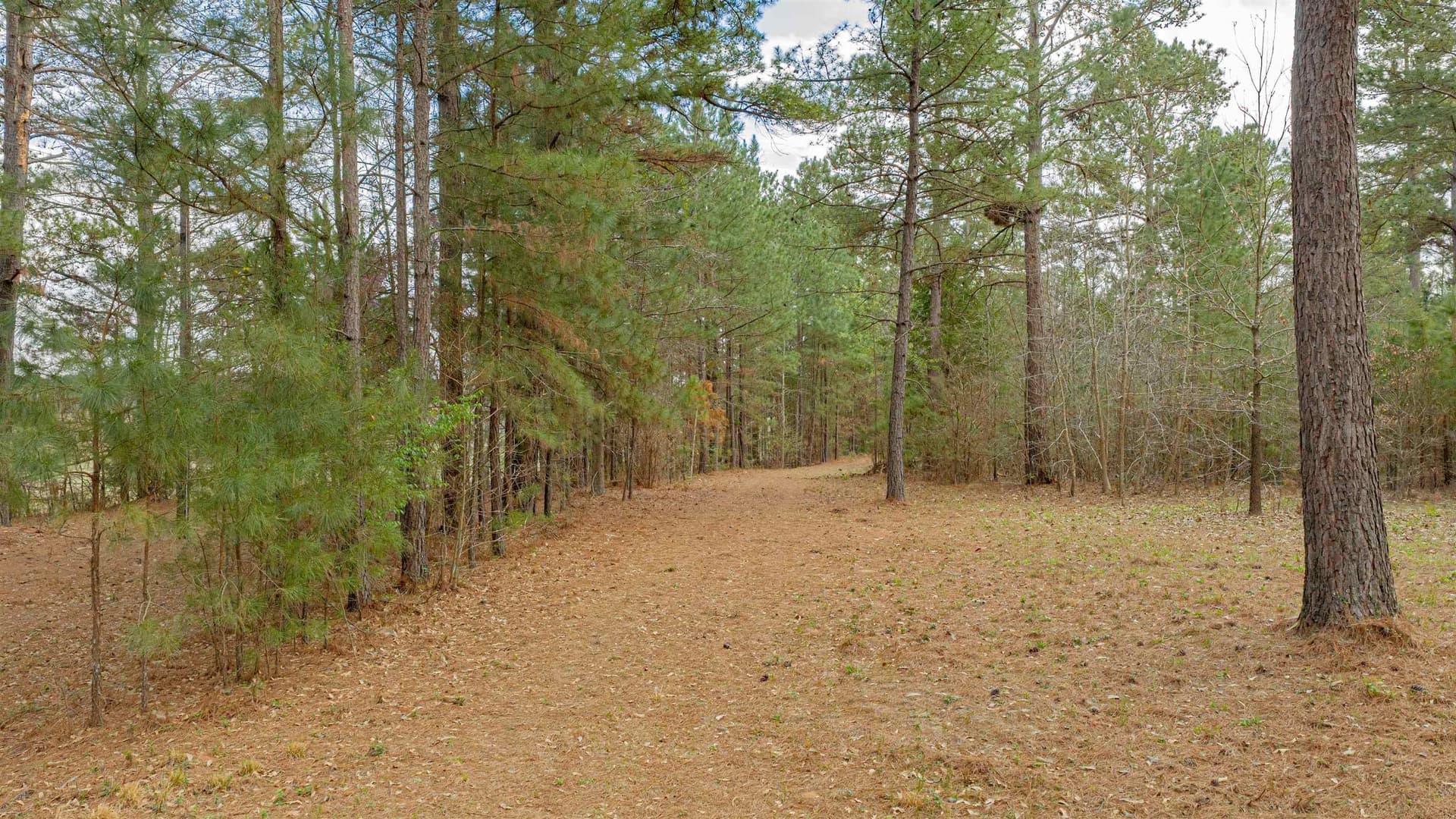 47.04 acres in Texas County - photo 4