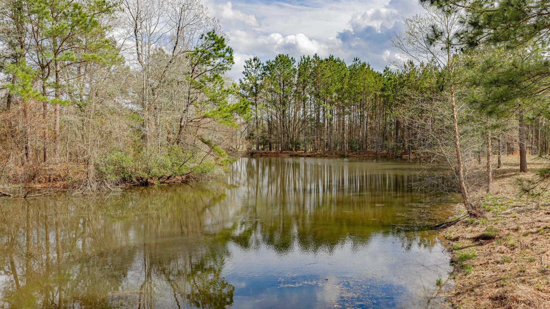47.04 acres in Texas County - photo 17