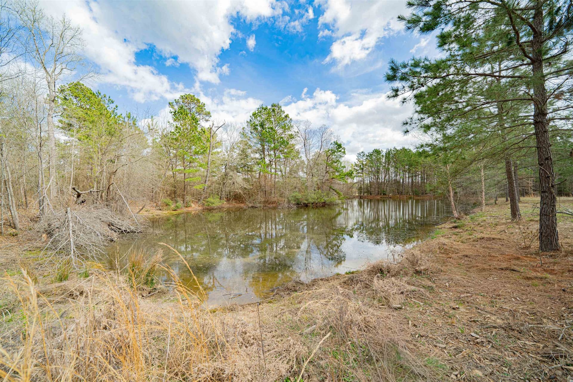47.04 acres in Texas County - photo 3