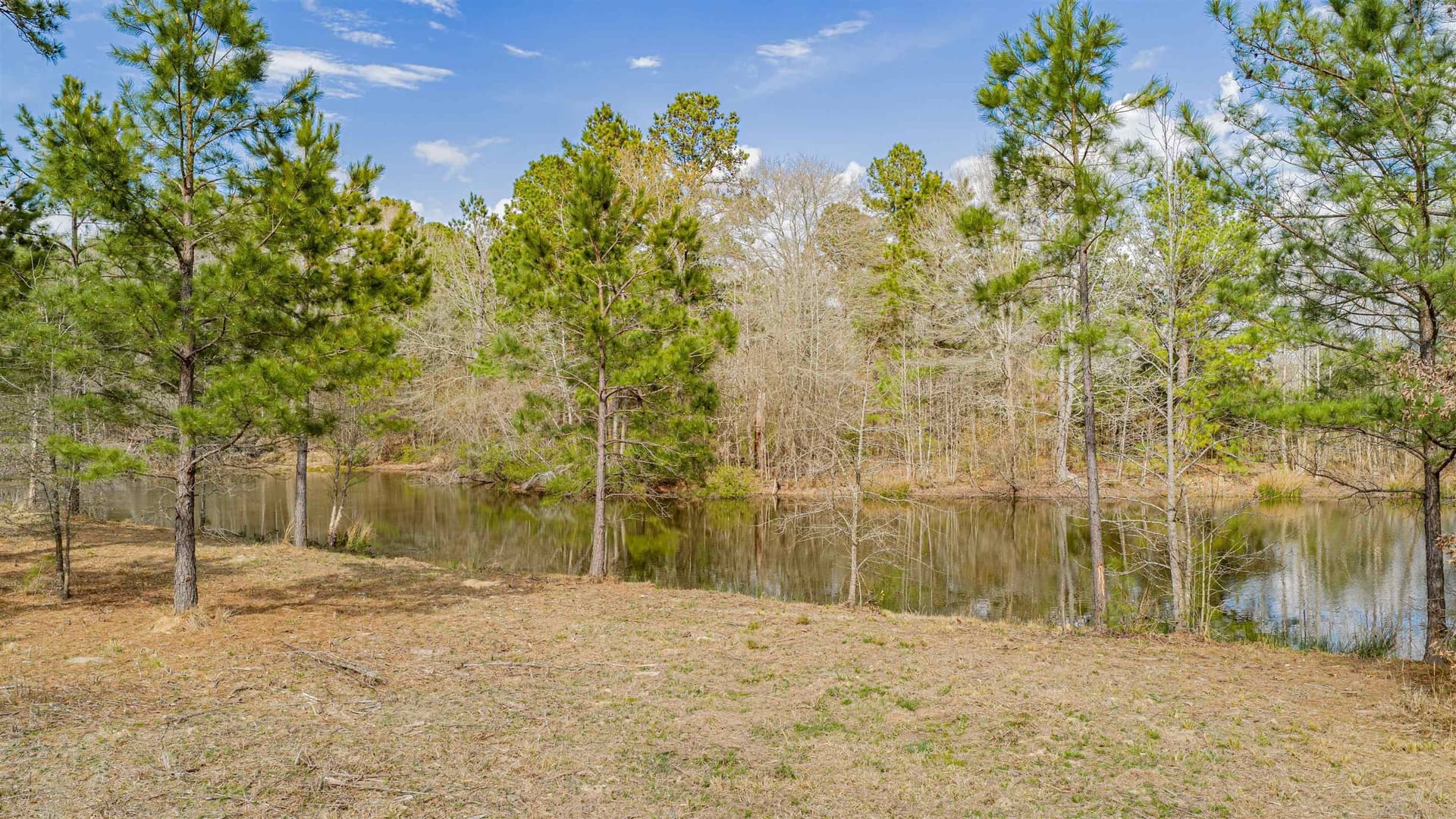 47.04 acres in Texas County - photo 15