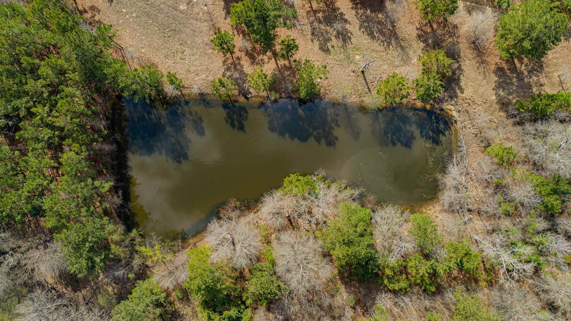 47.04 acres in Texas County - photo 19