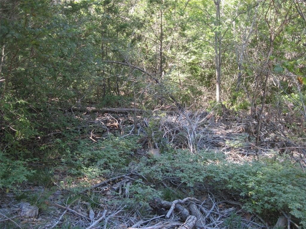 0.23 acres in Hood County - photo 7
