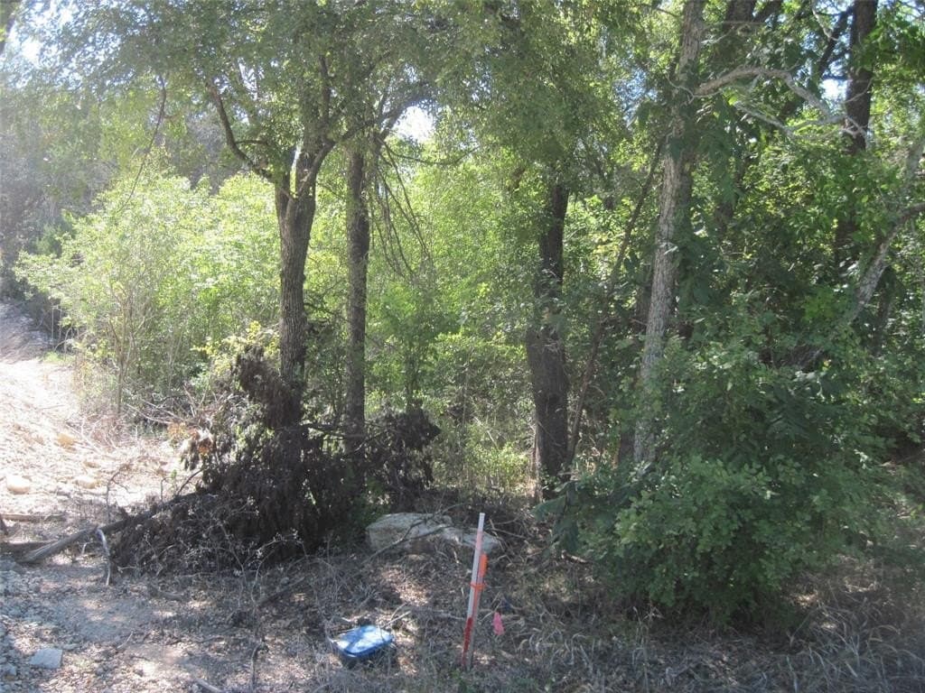 0.23 acres in Hood County - photo 5