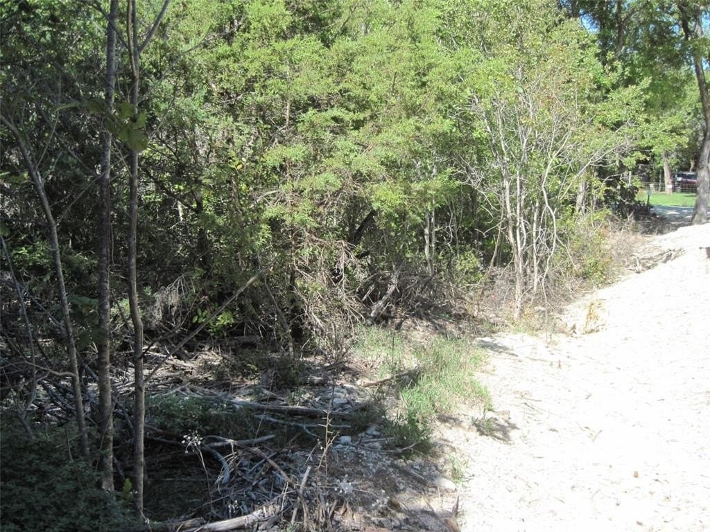 0.23 acres in Hood County - photo 6