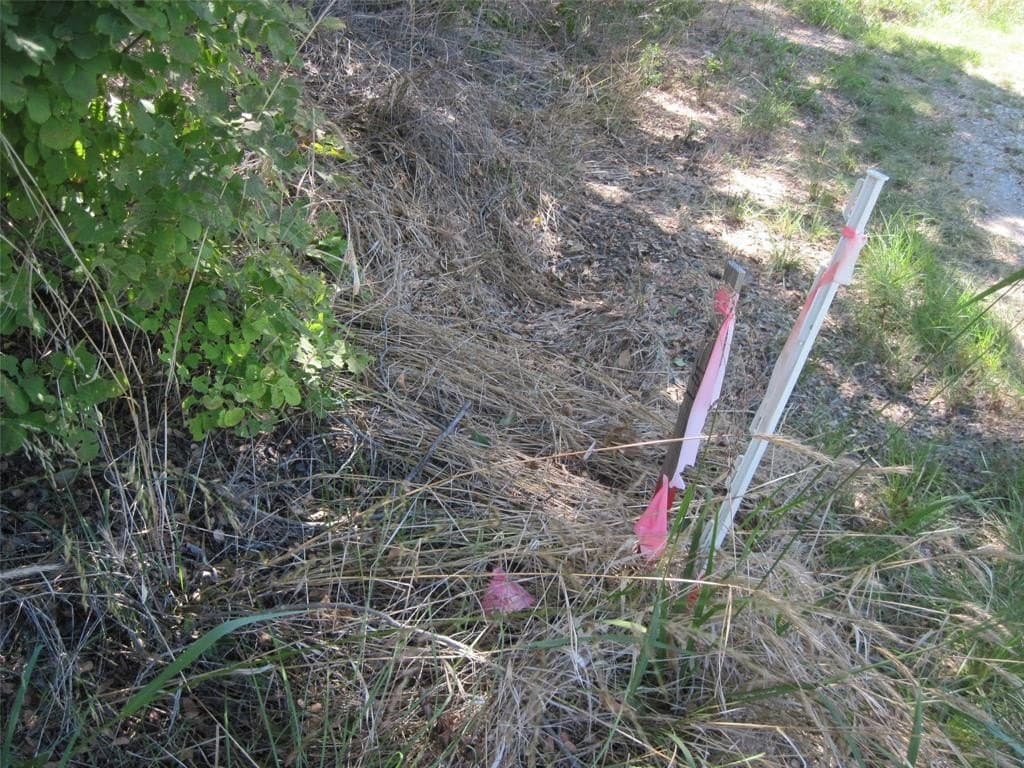 0.23 acres in Hood County - photo 3