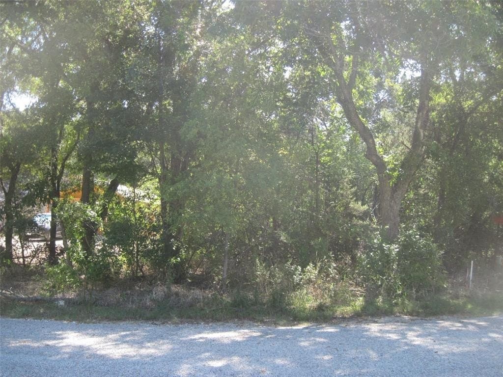 0.23 acres in Hood County - photo 4