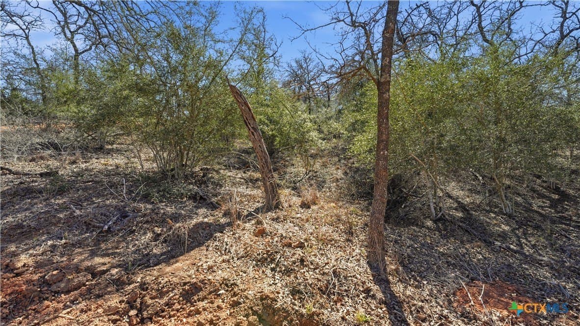 10.4 acres in Wilson County - photo 11