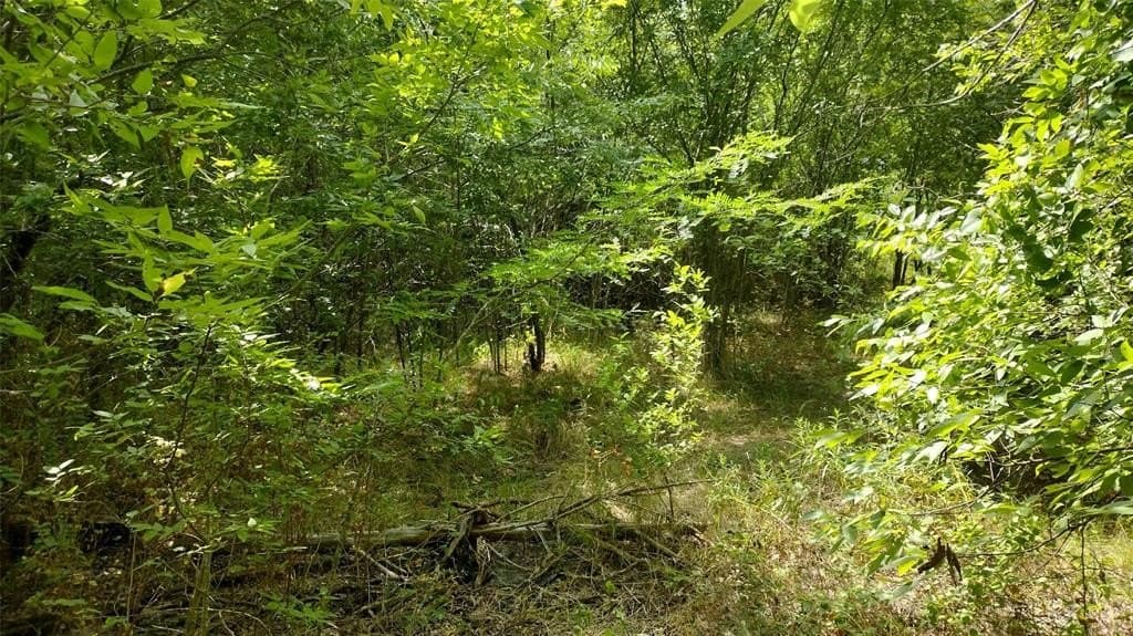 1.22 acres in Hunt County - photo 17