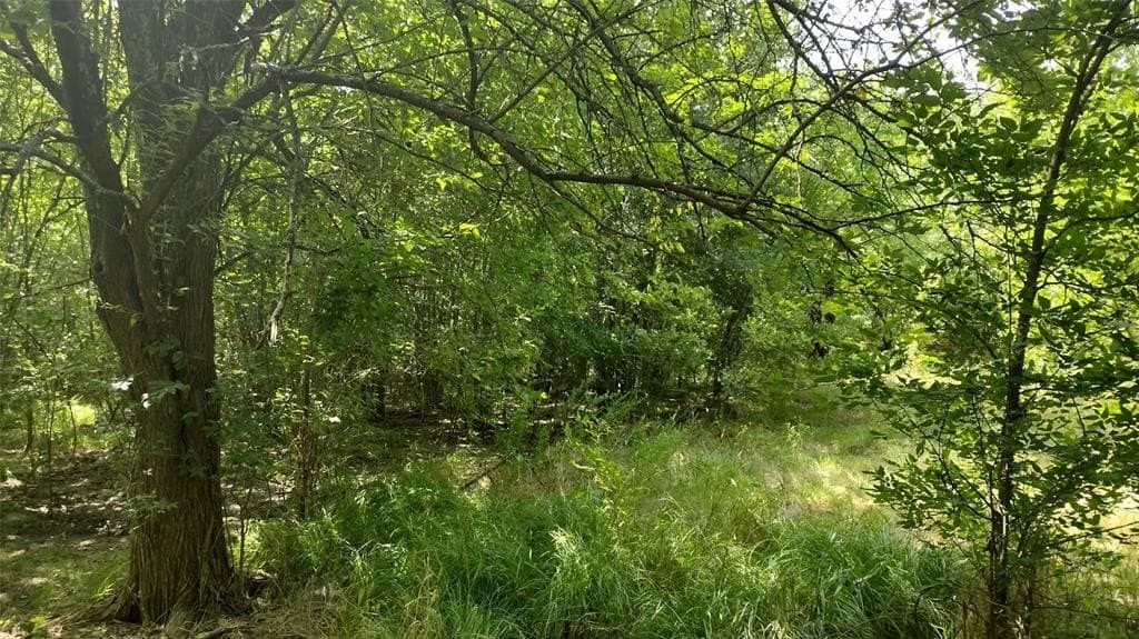 1.22 acres in Hunt County - photo 15