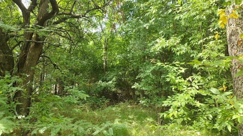 1.22 acres in Hunt County - photo 20