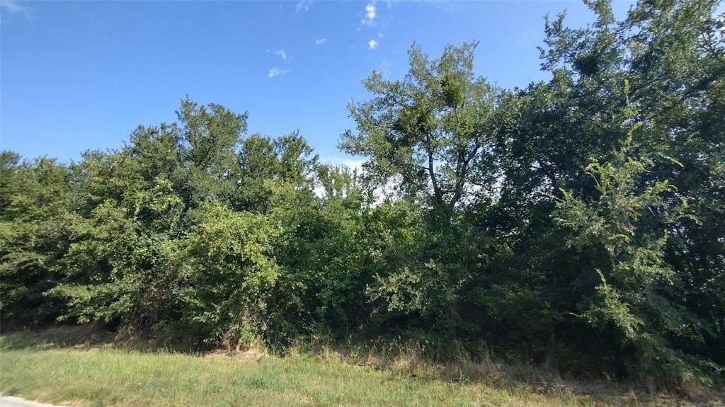 1.22 acres in Hunt County - photo 8