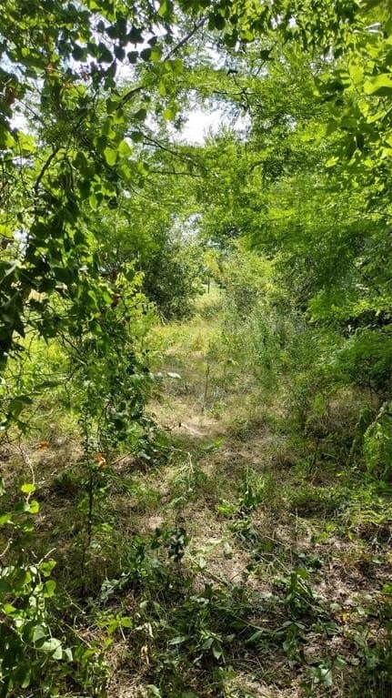 1.22 acres in Hunt County - photo 13
