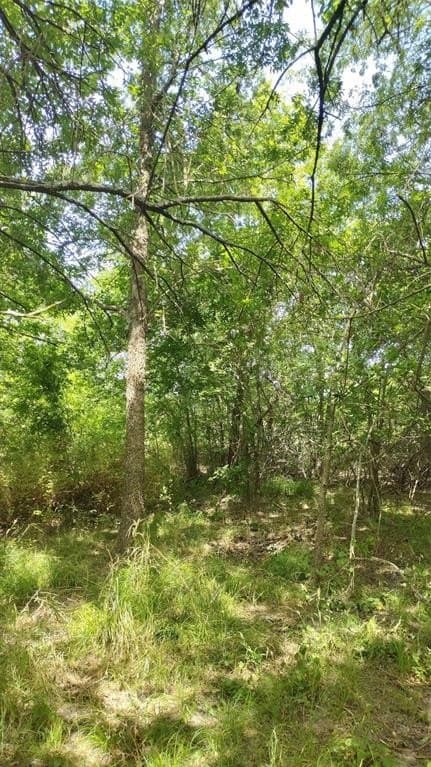 1.22 acres in Hunt County - photo 12