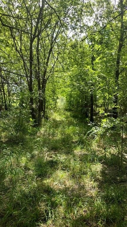 1.22 acres in Hunt County - photo 14