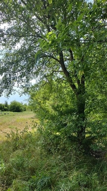 1.22 acres in Hunt County - photo 10