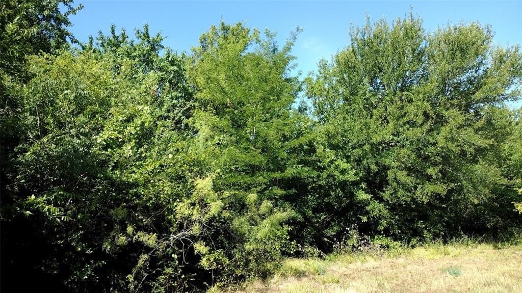 1.22 acres in Hunt County - photo 11