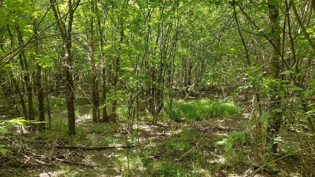 1.22 acres in Hunt County - photo 16