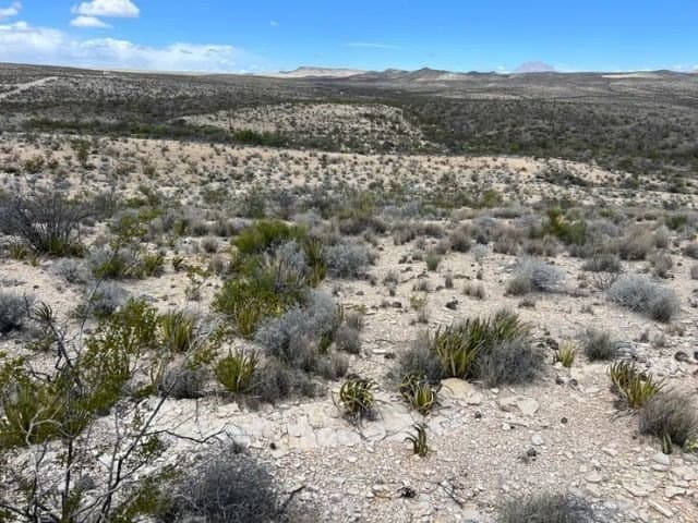 20 acres in Brewster County - photo 2