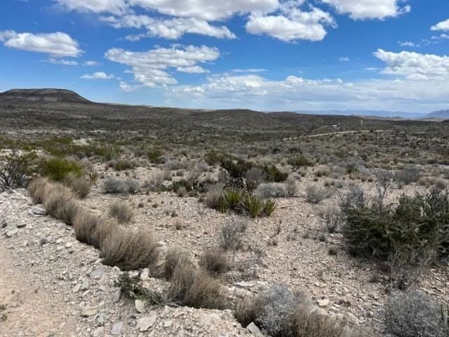 20 acres in Brewster County - photo 5