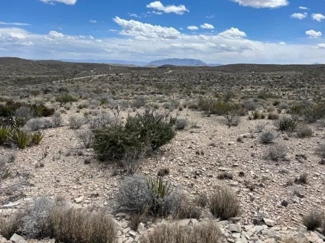20 acres in Brewster County - photo 4