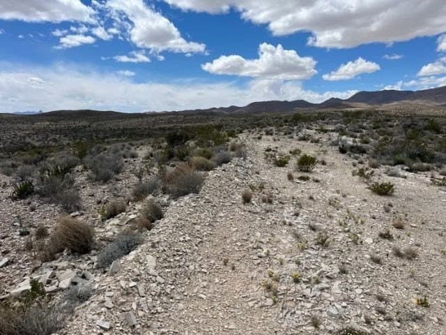 20 acres in Brewster County - photo 9