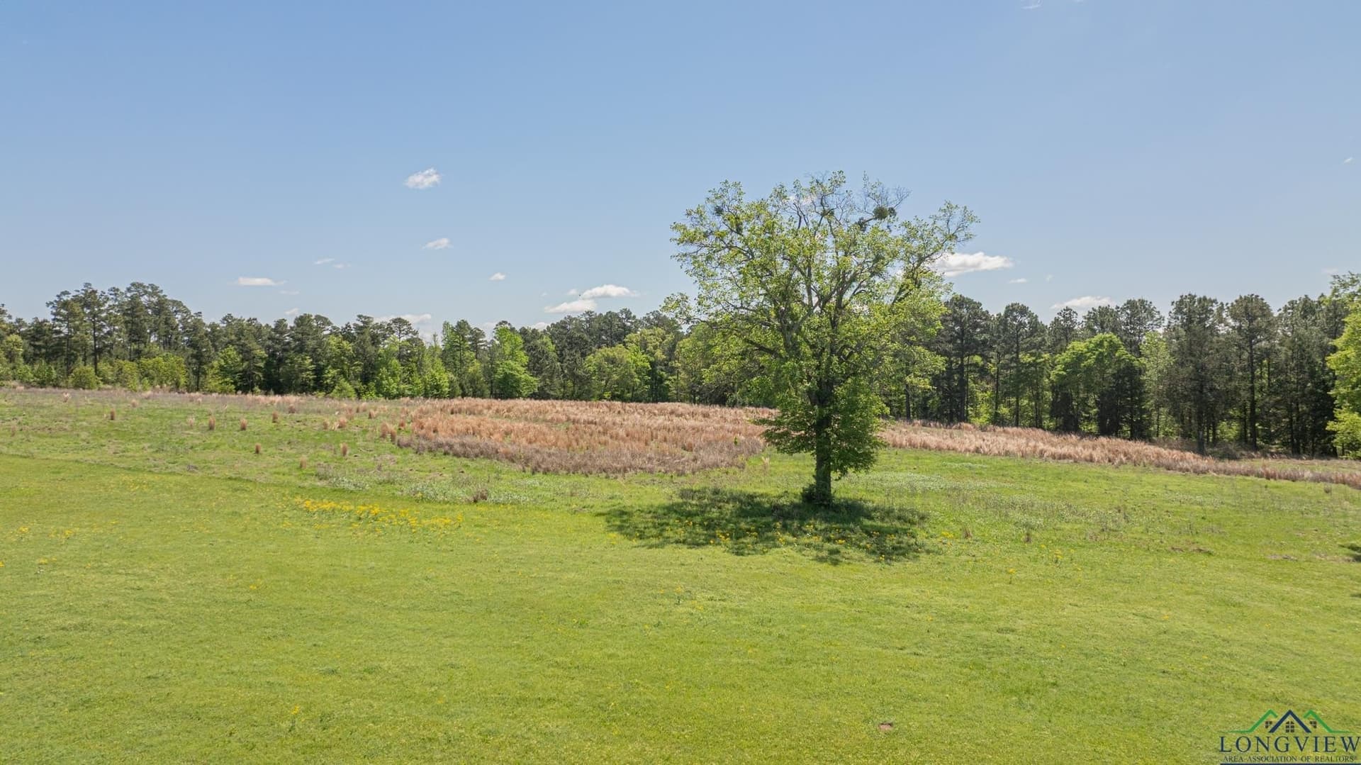 38.2 acres in Smith County - photo 45